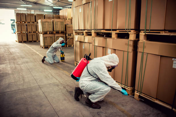 Best Bed Bug Extermination  in Streamwood, IL