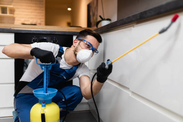 Best Local Pest Control Services  in Streamwood, IL