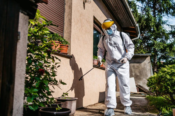 Best Pest Prevention Services  in Streamwood, IL