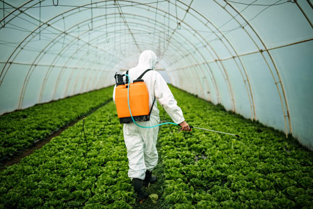 Best Pest Control Treatment  in Streamwood, IL