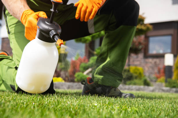 Best Pest Removal Services  in Streamwood, IL