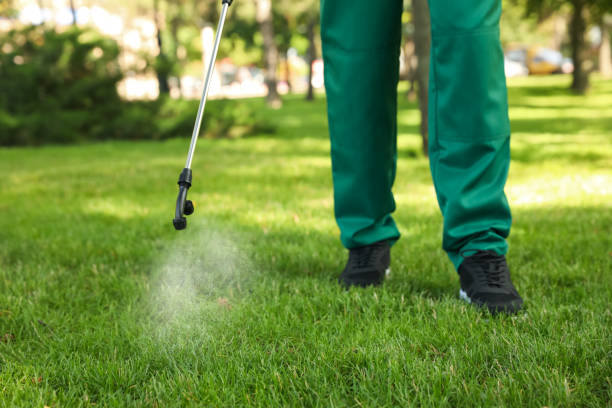 Trusted Streamwood, IL Pest Control Experts