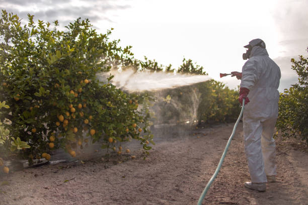 Best Exterminator Services  in Streamwood, IL