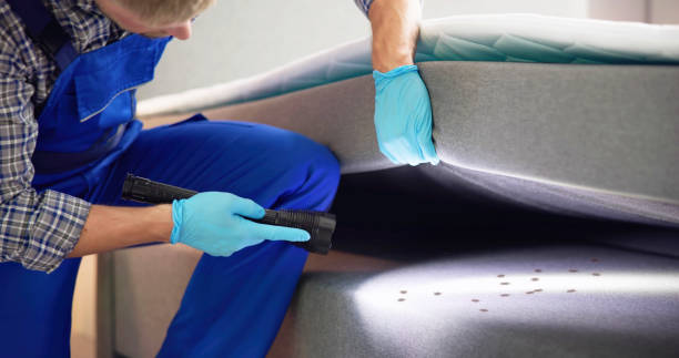 Best Rat Extermination Near Me  in Streamwood, IL