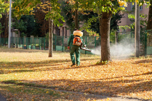 Best Best Pest Control Companies  in Streamwood, IL
