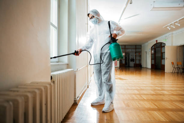 Best Affordable Pest Control Services  in Streamwood, IL