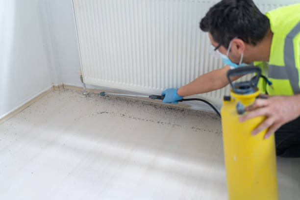 Best Pest Control for Businesses  in Streamwood, IL