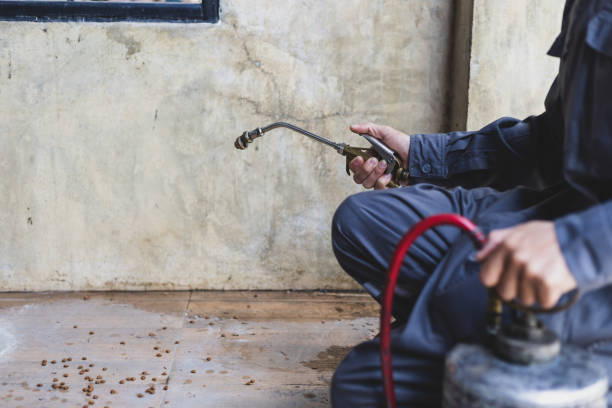 Best Residential Pest Control  in Streamwood, IL