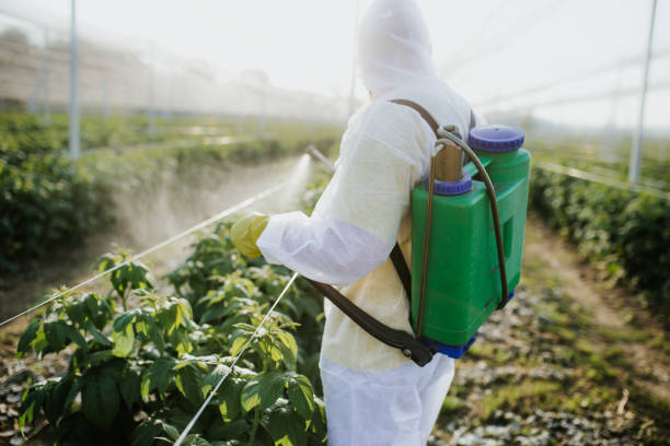 Best Commercial Pest Control Services  in Streamwood, IL